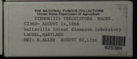 Image Associated With the Occurence
